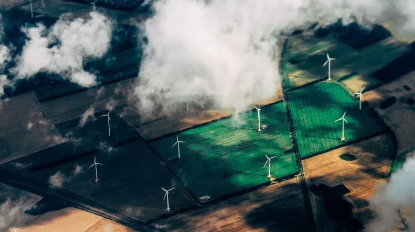 Driving Climate Action With A Sustainable Web Build